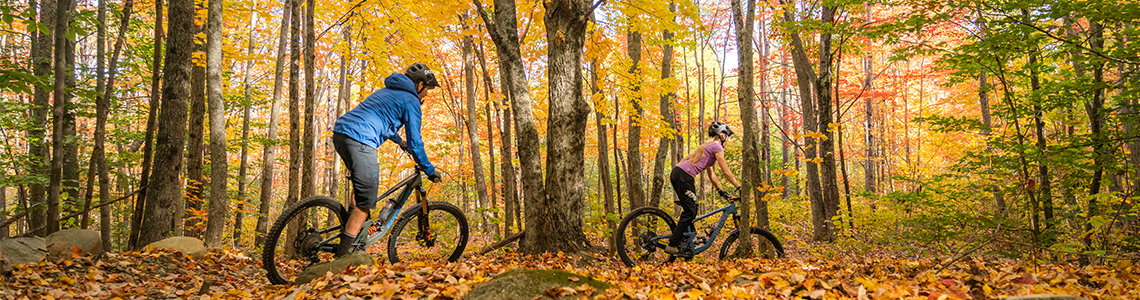 bike biking