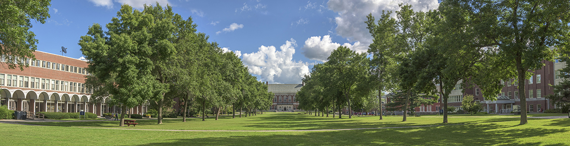 University of Maine