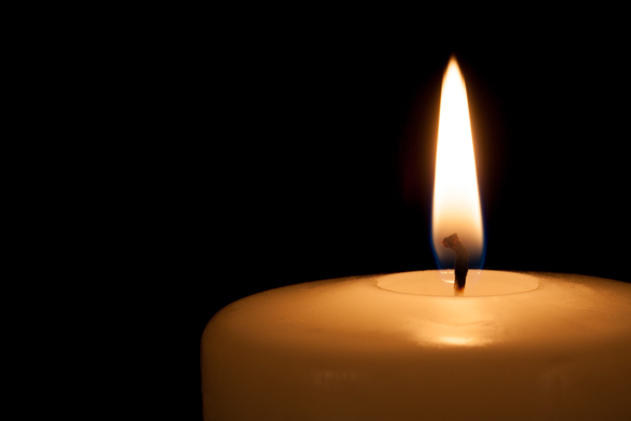 In Memoriam