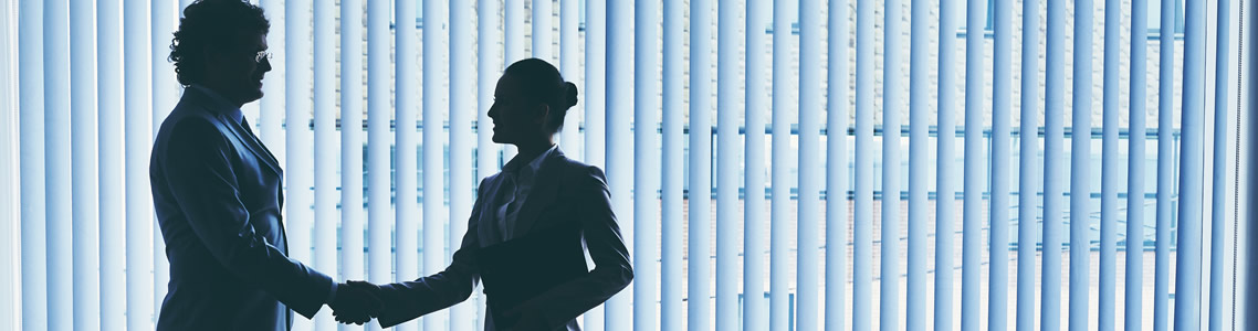 Business professionals in an interview
