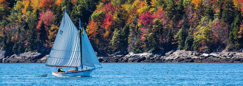 Boat in Fall